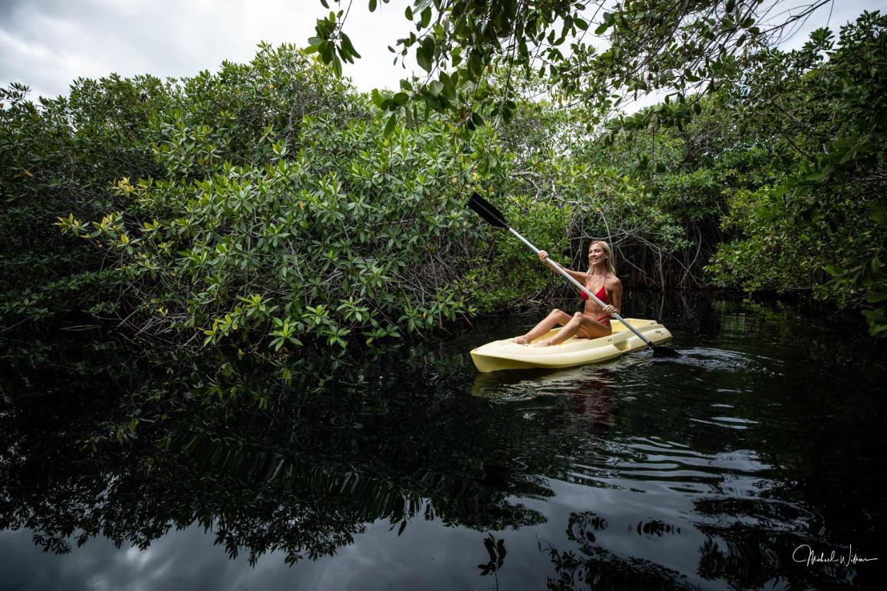 Manglex Eco Hotel Tulum Kültér fotó