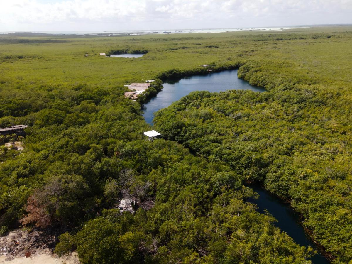 Manglex Eco Hotel Tulum Kültér fotó