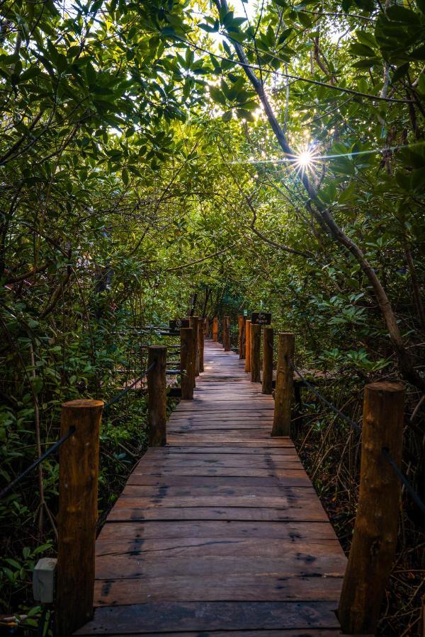 Manglex Eco Hotel Tulum Kültér fotó