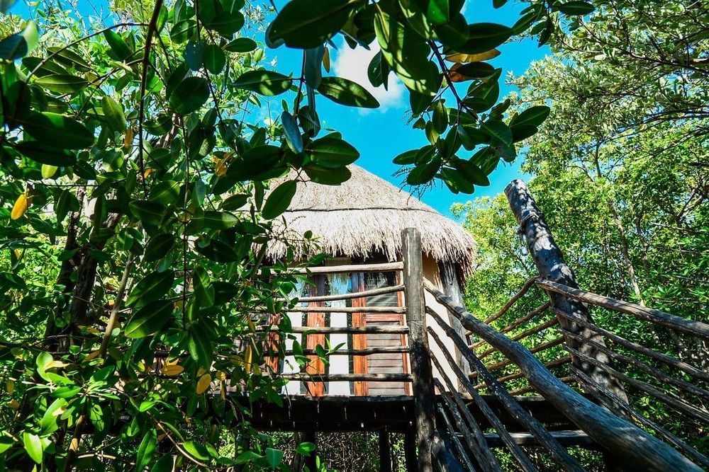 Manglex Eco Hotel Tulum Kültér fotó