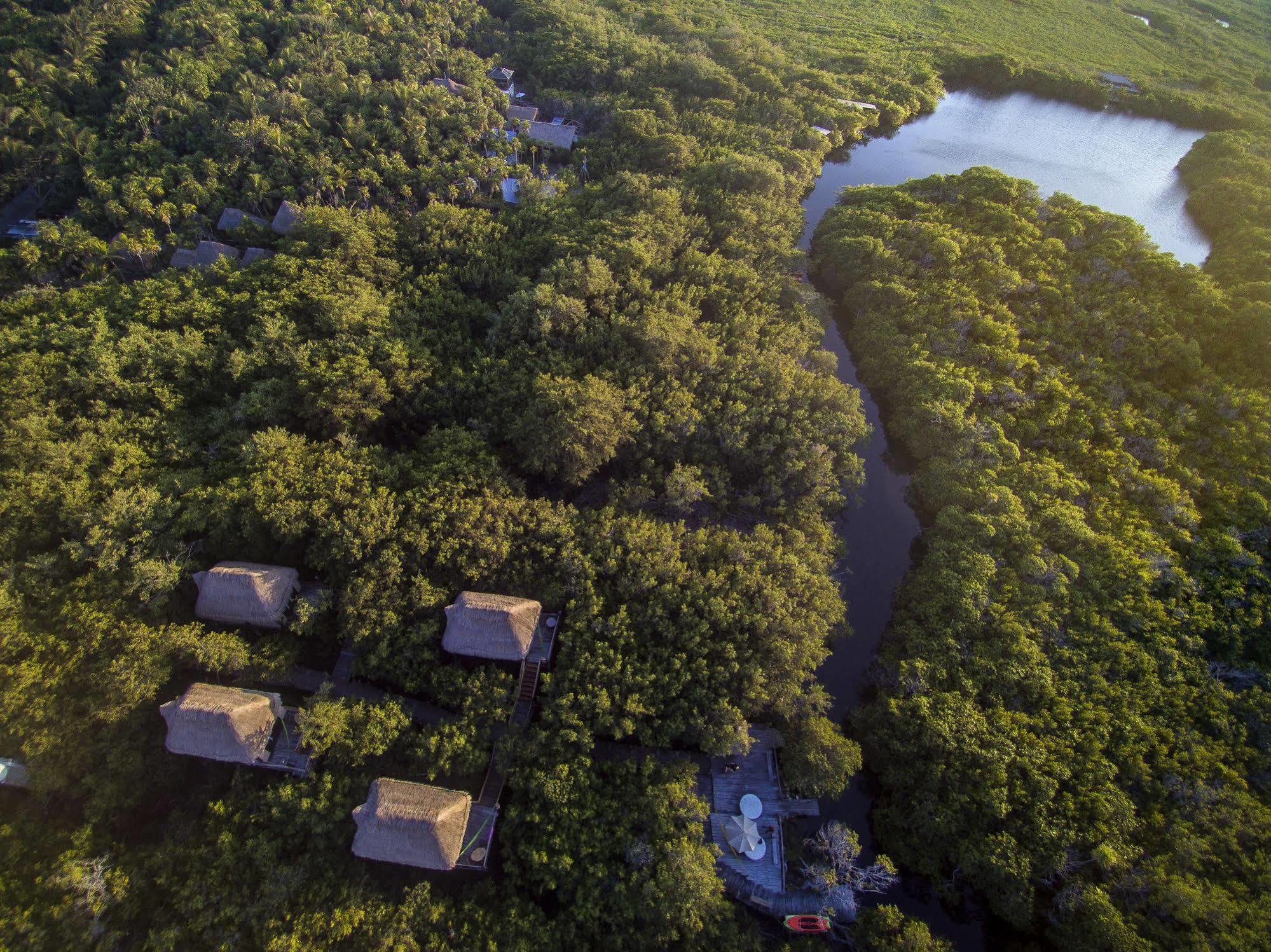 Manglex Eco Hotel Tulum Kültér fotó