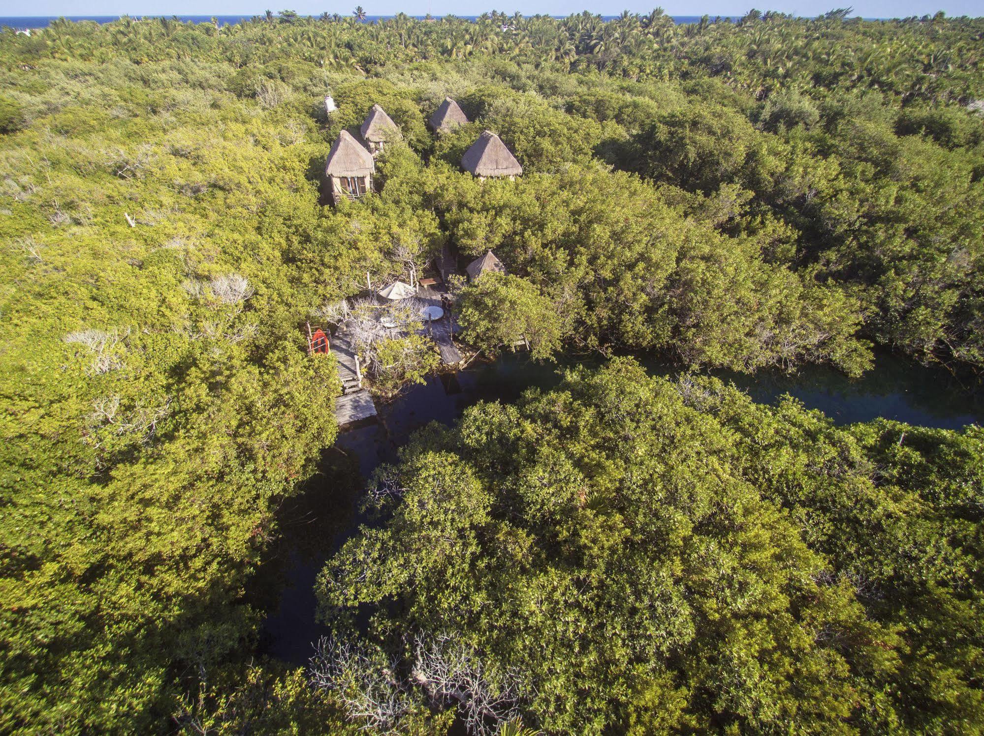 Manglex Eco Hotel Tulum Kültér fotó