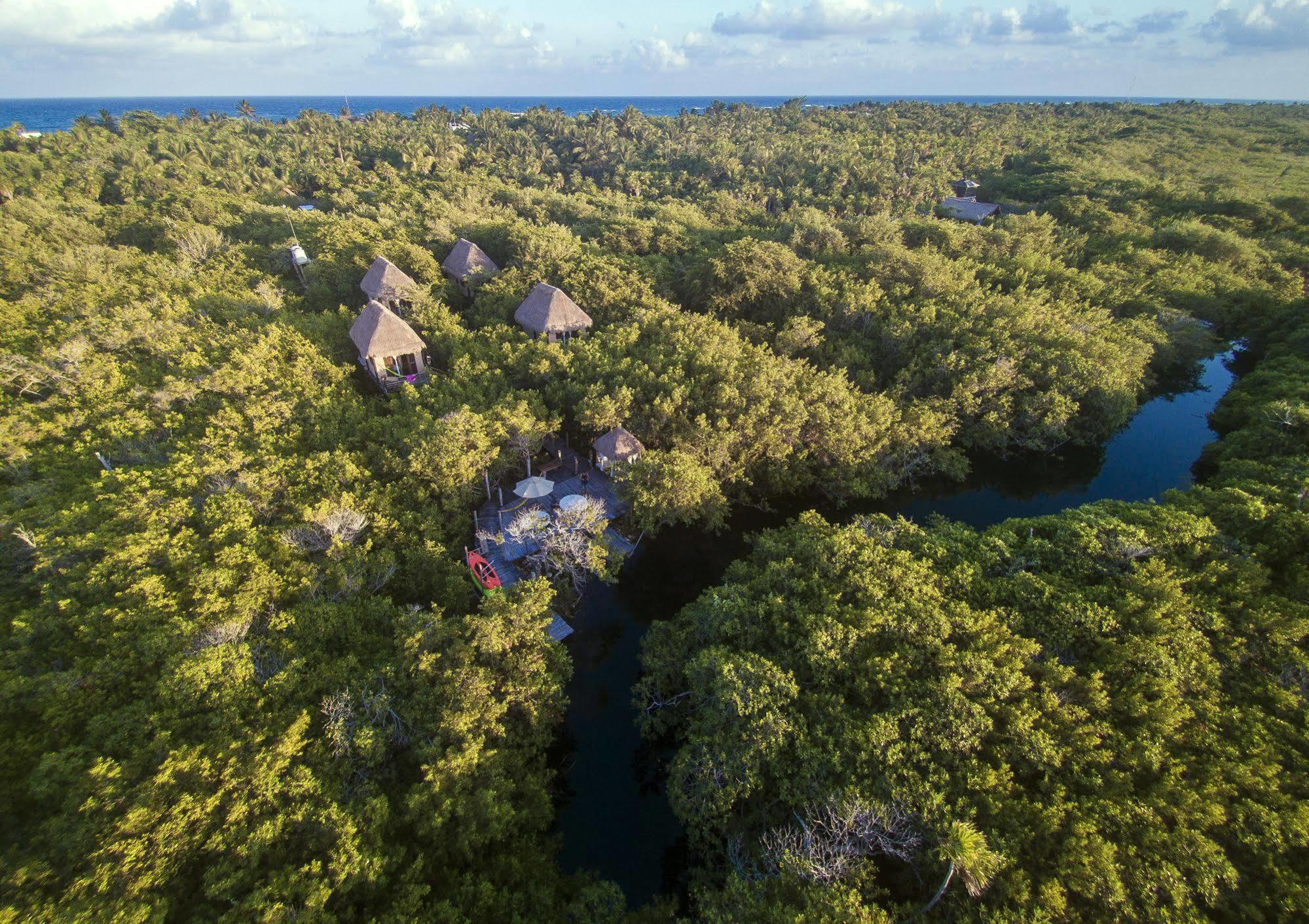 Manglex Eco Hotel Tulum Kültér fotó