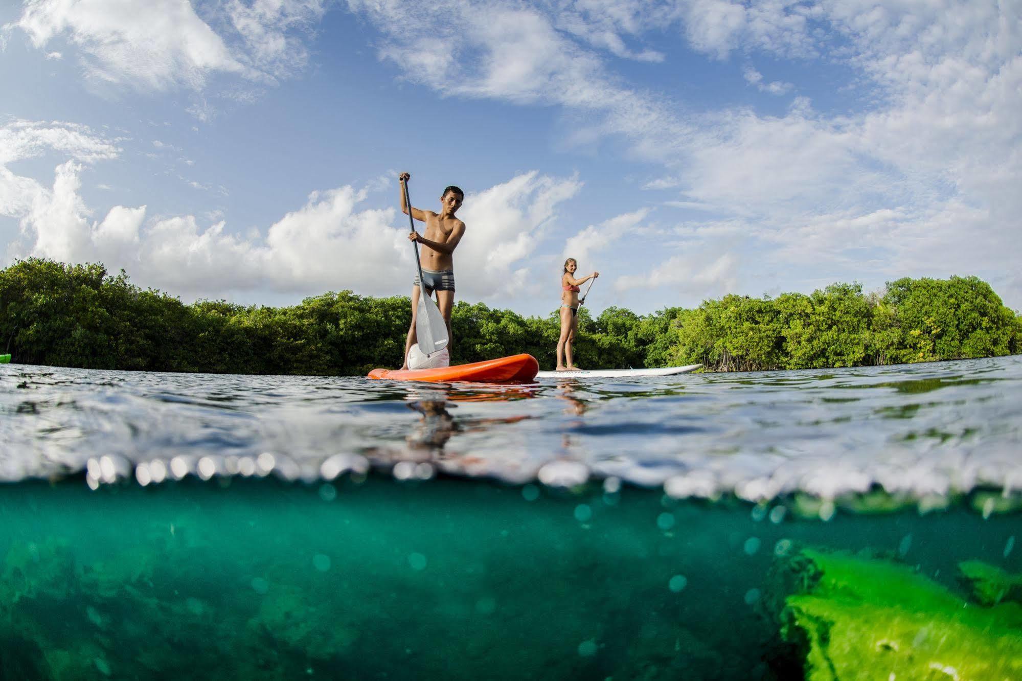Manglex Eco Hotel Tulum Kültér fotó